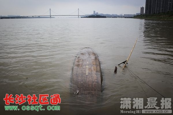 xxcb20150709_121.jpg